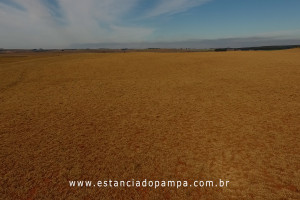 OS ARAGANOS   HERANÇAS 1984.00_00_57_01.Quadro005_31a39952cbd590e9c688e6a81424c14890441e1a.jpg